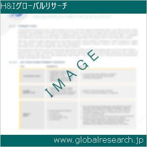 グローバルリサーチ調査レポートのイメージ